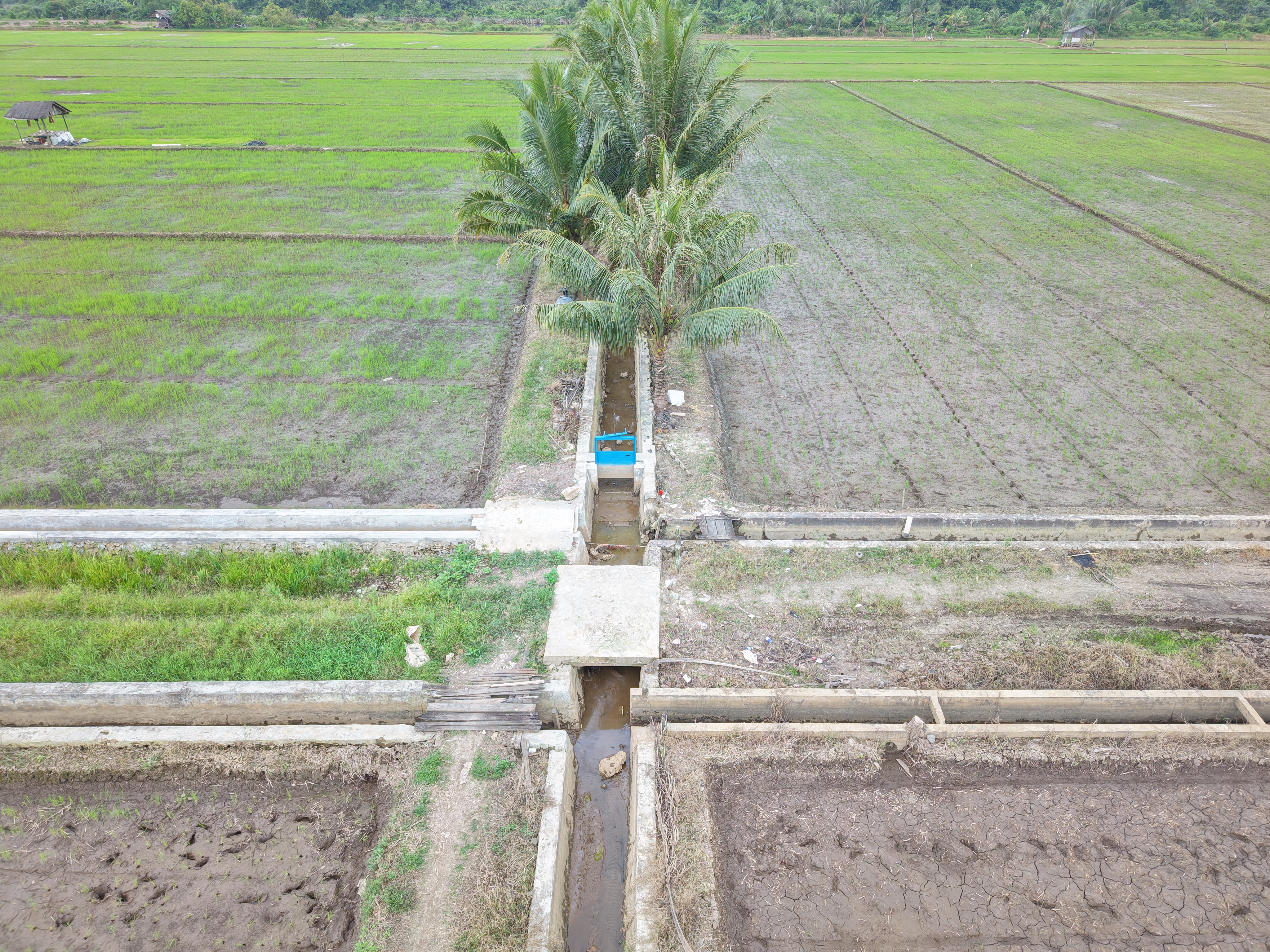 Irigasi Kalimantan Timur 3